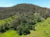 802 Tabulam Road, Tabulam, NSW 2469-Image