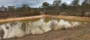 8031 Kings Highway, Warri, NSW 2622-Image