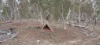 8031 Kings Highway, Warri, NSW 2622-Image
