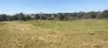 808 Pine Creek Road, Givelda, Qld 4670-Image