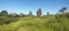 808 Pine Creek Road, Givelda, Qld 4670-Image