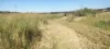 808 Pine Creek Road, Givelda, Qld 4670-Image