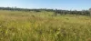 808 Pine Creek Road, Givelda, Qld 4670-Image