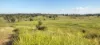 808 Pine Creek Road, Givelda, Qld 4670-Image