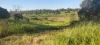808 Pine Creek Road, Givelda, Qld 4670-Image