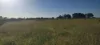 808 Pine Creek Road, Givelda, Qld 4670-Image