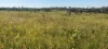 808 Pine Creek Road, Givelda, Qld 4670-Image