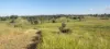 808 Pine Creek Road, Givelda, Qld 4670-Image