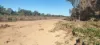 808 Pine Creek Road, Givelda, Qld 4670-Image
