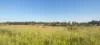 808 Pine Creek Road, Givelda, Qld 4670-Image