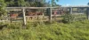 808 Pine Creek Road, Givelda, Qld 4670-Image