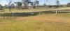 808 Pine Creek Road, Givelda, Qld 4670-Image