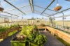 81 Cameron Road, Middle Arm, NSW 2580-Image