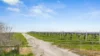 81 Daniels Road, Balhannah SA 5242-Image