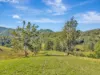 81 Kestrel Road, Burrapine, NSW 2447