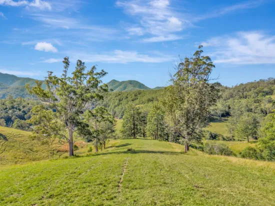 81 Kestrel Road, Burrapine, NSW 2447