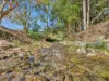 81 Kestrel Road, Burrapine, NSW 2447-Image