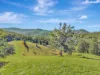 81 Kestrel Road, Burrapine, NSW 2447-Image