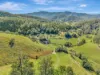 81 Kestrel Road, Burrapine, NSW 2447-Image