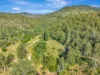 81 Kestrel Road, Burrapine, NSW 2447-Image