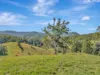 81 Kestrel Road, Burrapine, NSW 2447-Image