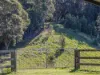 81 Kielys Road, Mooball, NSW 2483-Image