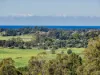 81 Kielys Road, Mooball, NSW 2483-Image