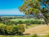 81 Kielys Road, Mooball, NSW 2483-Image
