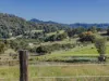 81 Kielys Road, Mooball, NSW 2483-Image