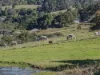81 Kielys Road, Mooball, NSW 2483-Image
