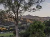 81 Kielys Road, Mooball, NSW 2483-Image