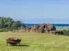 81 Kielys Road, Mooball, NSW 2483-Image