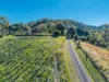 81 Kielys Road, Mooball, NSW 2483-Image