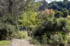 81 Pearsons Lane, Robertson NSW 2577-Image
