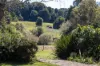 81 Pearsons Lane, Robertson NSW 2577-Image