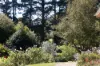 81 Pearsons Lane, Robertson NSW 2577-Image