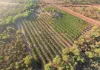 810 Reedbeds Road, Darwin River, NT 0841-Image