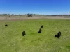 812 Guyong Road, Blayney NSW 2799-Image