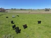 812 Guyong Road, Blayney NSW 2799-Image