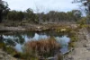 812 Mount Janet Road, Warwick, Qld 4370-Image