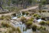 812 Mount Janet Road, Warwick, Qld 4370-Image