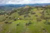 817, Huon Creek VIC 3691-Image