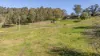 82 Clements Road, East Gresford, NSW 2311-Image