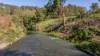 82 Clements Road, East Gresford, NSW 2311-Image