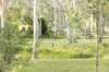 82 Millfield Road, Paxton, NSW 2325-Image