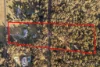82 Mount Haven Way, Meadow Flat, NSW 2795-Image