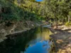 82 Tibbuc Road, Tibbuc VIA, Gloucester NSW 2422-Image