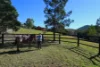 82 Tibbuc Road, Tibbuc VIA, Gloucester NSW 2422-Image