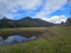 82 Tibbuc Road, Tibbuc VIA, Gloucester NSW 2422-Image