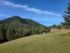 82 Tibbuc Road, Tibbuc VIA, Gloucester NSW 2422-Image